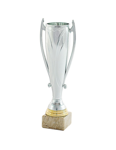Trofeus ABM - Copa de participació platejada en ABS esrtilitzada, amb detall daurat i peanya clara.