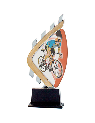 Trofeus ABM - Trofeu esportiu en resina i metacrilat, amb el motiu esportiu a tot color. Disponible en tots els esports.