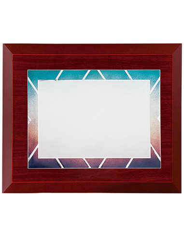 Placa de homenaje con base de madera y placa de aluminio plateada y cenefa abstracta en color. La grabación debe ser a todo colo